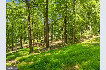 247 Marsden Heights Road, Linden, VA 22642 - Photo 84