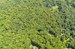 247 Marsden Hts Rd, Linden, VA 22642 - Photo 62