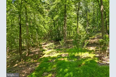 247 Marsden Heights Road, Linden, VA 22642 - Photo 86