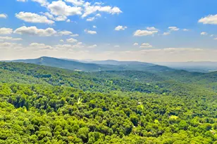 247 Marsden Hts Rd, Linden, VA 22642 - Photo 58