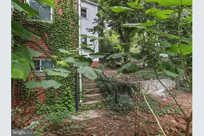 113 W 1st Street, Front Royal, VA 22630 - Photo 48