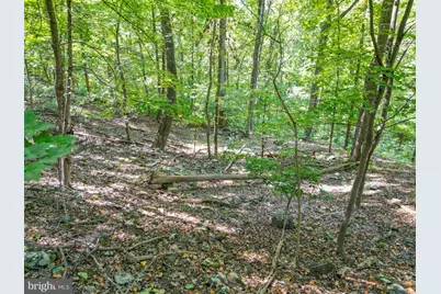 Lot 26 Massanutten Mountain Drive, Front Royal, VA 22630 - Photo 4