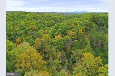 Andrews, Strasburg, VA 22657 - Photo 22