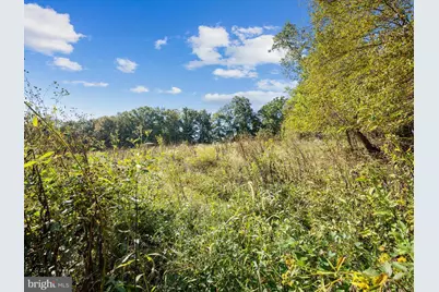 0 Penny Ann Lane, Strasburg, VA 22657 - Photo 2