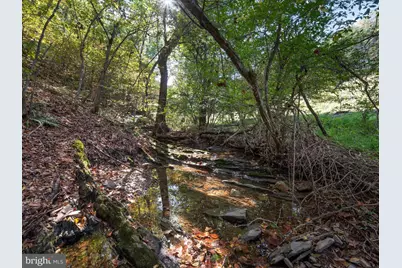 0 Penny Ann Lane, Strasburg, VA 22657 - Photo 4