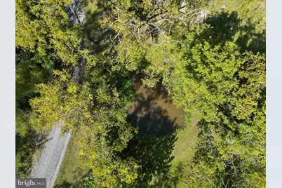 Penny Ann Lane, Strasburg, VA 22657 - Photo 12