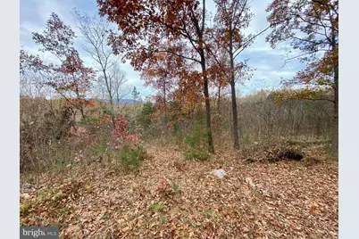 0 Old Cave Road, Front Royal, VA 22630 - Photo 6