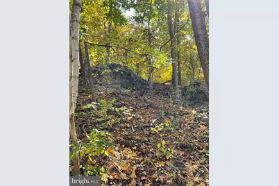 236 Piedmont Orchard Road, Linden, VA 22642 - Photo 28