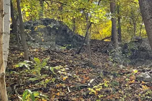 236 Piedmont Orchard Rd, Linden, VA 22642 - Photo 28