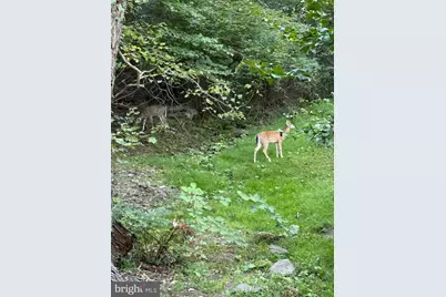 236 Piedmont Orchard Road, Linden, VA 22642 - Photo 34