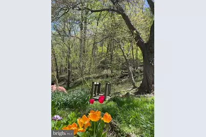 236 Piedmont Orchard Road, Linden, VA 22642 - Photo 26