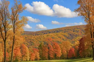 2 Lee Dr, Linden, VA 22642 - Photo 2