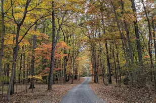 181 Brook View Rd, Front Royal, VA 22630 - Photo 2