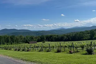 108 Pippin Ct, Linden, VA 22642 - Photo 24