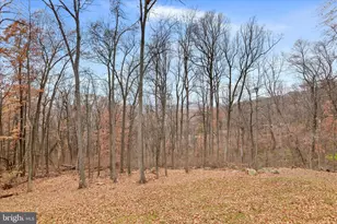 401 Bragg Dr, Front Royal, VA 22630 - Photo 38