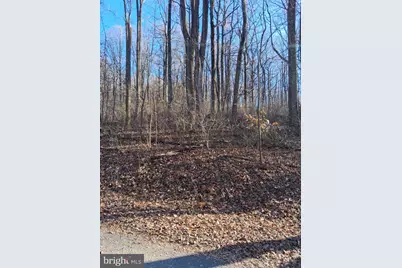 Reid Drive, Front Royal, VA 22630 - Photo 4