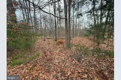 0 Hatcher, Front Royal, VA 22630 - Photo 2