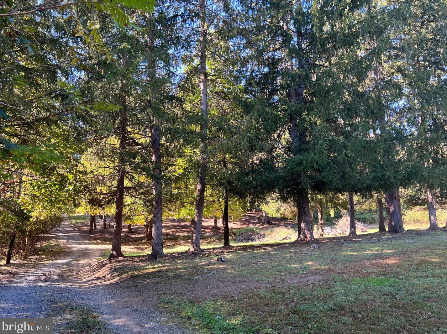 395 Wizard Ln, Hedgesville, WV 25427