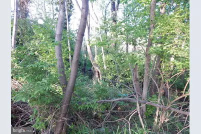 Lot 91 Siebert Street, Martinsburg, WV 25404 - Photo 6