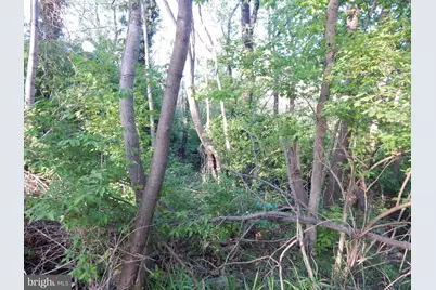 Lot 92 Siebert Street, Martinsburg, WV 25404 - Photo 6