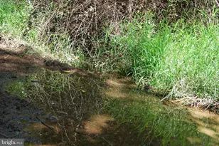 220 Stotelmyer Ln, Martinsburg, WV 25405 - Photo 40