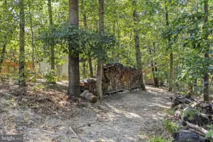 145 Basswood Dr, Bunker Hill, WV 25413 - Photo 64
