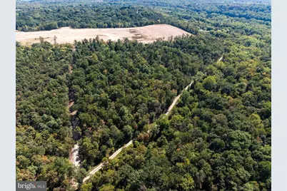 17.33 Ac Shale Pit Drive, Falling Waters, WV 25419 - Photo 4