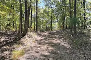 0 Palmer Rd, Gerrardstown, WV 25420 - Photo 10