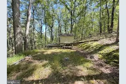 0 Palmer Road, Gerrardstown, WV 25420 - Photo 8