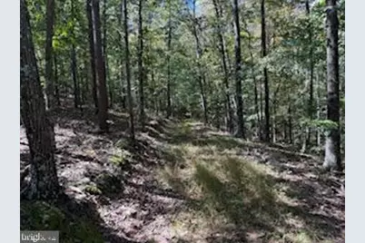 0 Palmer Road, Gerrardstown, WV 25420 - Photo 2