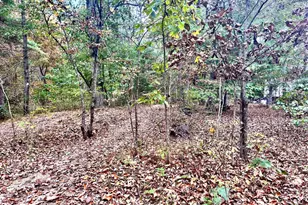 Parcel 38 Conservation Dr, Hedgesville, WV 25427 - Photo 1