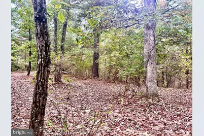 Parcel 38 Conservation Drive, Hedgesville, WV 25427 - Photo 4