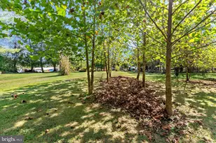 9157 Williamsport Pike, Falling Waters, WV 25419 - Photo 42