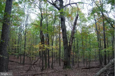 Terrain Drive, Hedgesville, WV 25427 - Photo 14