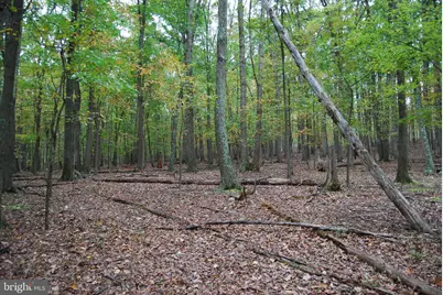 Terrain Drive, Hedgesville, WV 25427 - Photo 6