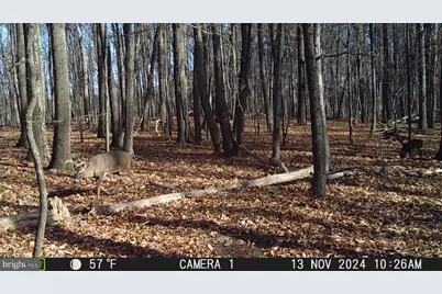 Terrain Drive, Hedgesville, WV 25427 - Photo 32