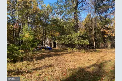 155 Budding Dogwood Road, Bunker Hill, WV 25413 - Photo 8