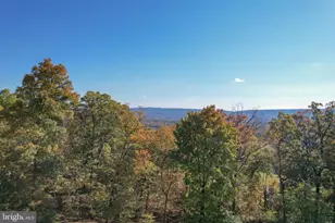 757 Peewee Ln, Hedgesville, WV 25427 - Photo 44