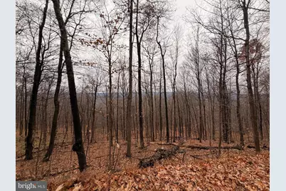 6.71 Ac Lot 9 Gobbler Lane, Hedgesville, WV 25427 - Photo 1