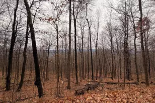 6 71 Ac Lot 9 Gobbler Ln, Hedgesville, WV 25427 - Photo 1