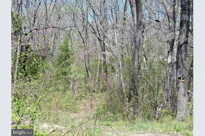Lot 33 Nestle Quarry Road, Falling Waters, WV 25419 - Photo 12
