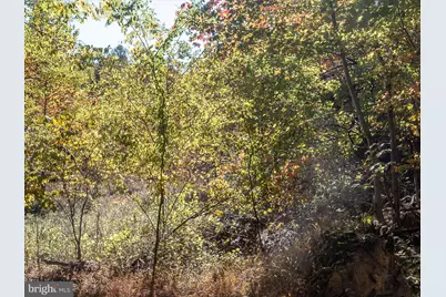 Tuscarora Pike Parcel 13 & 14, Martinsburg, WV 25403 - Photo 6