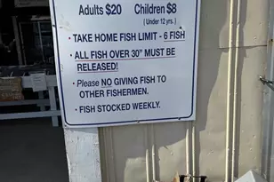 878 Hatchery Rd, Inwood, WV 25428 - Photo 96