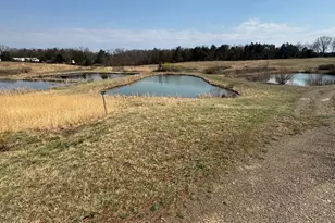878 Hatchery Rd, Inwood, WV 25428 - Photo 90