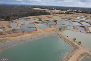 878 Hatchery Rd, Inwood, WV 25428 - Photo 22