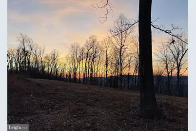 Vandalia Rd - 10.03 Ac P/O Lot 1, Martinsburg, WV 25403 - Photo 6