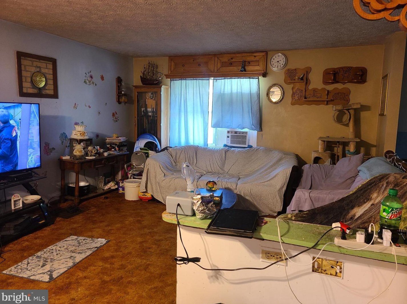 186 Hedrick Dr, Arthur, WV 26847-8148