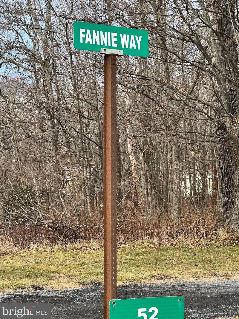 41 Fannie Way, Mount Storm WV  26739 exterior