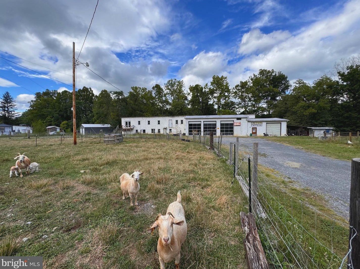 5036 Lunice Creek Hwy, Arthur, WV 26847