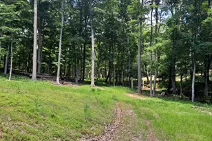 1079 Little Mountain, Cabins, WV 26855 - Photo 44